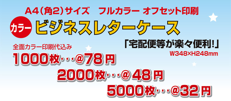 ビジネスレターケース・A4(角2)サイズ(フルカラー名入れ代込み)