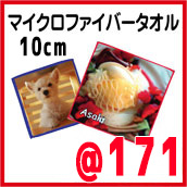 �}�C�N���t�@�C�o�[