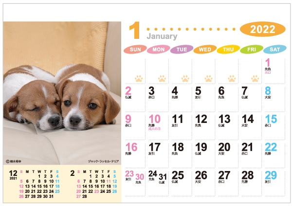 卓上カレンダー「ラブリーフレンズ(犬・猫)」・表面
