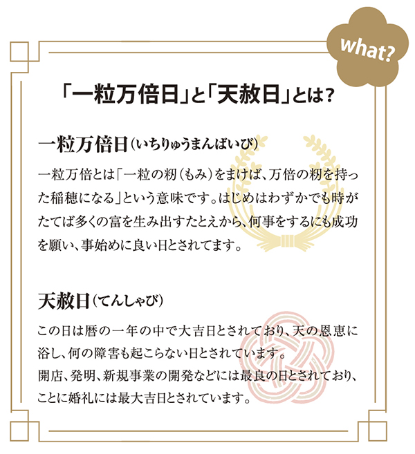 卓上 NZB1601一粒万倍日カレンダー3